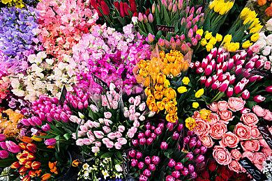 并非终章！ 《33号远征队》总监透露将会有续作或DLC